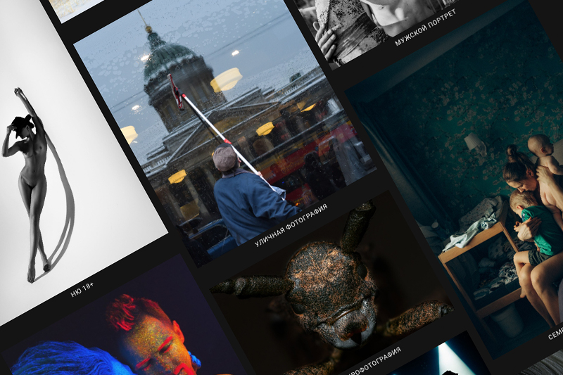 Итоги конкурса PORTFOLIO AWARD 2024