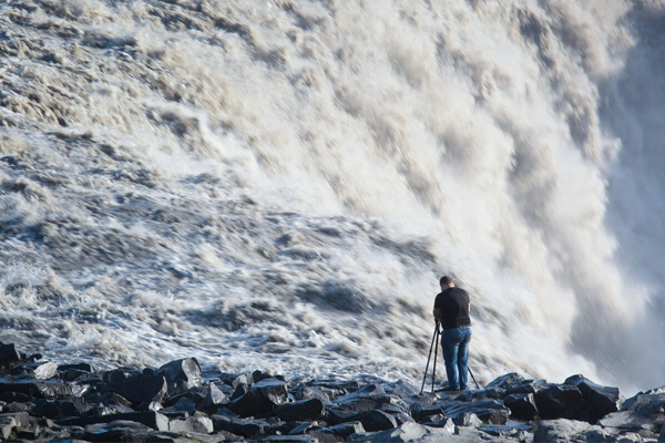 Обзор штатива Benro Tortoise