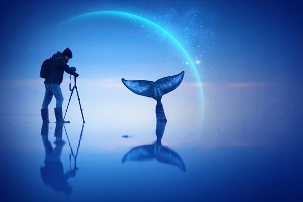 Иммерсивная выставка-путешествие «Фотомаршрут построен»