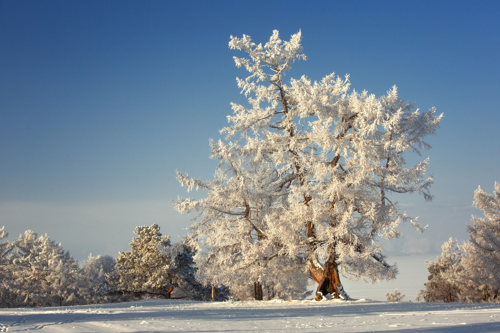 Поляризационный фильтр отлично работает в зимних пейзажах 
