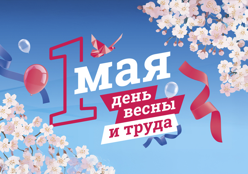66jvij3u5p3cgs45n60h790g3svmq19p.jpg