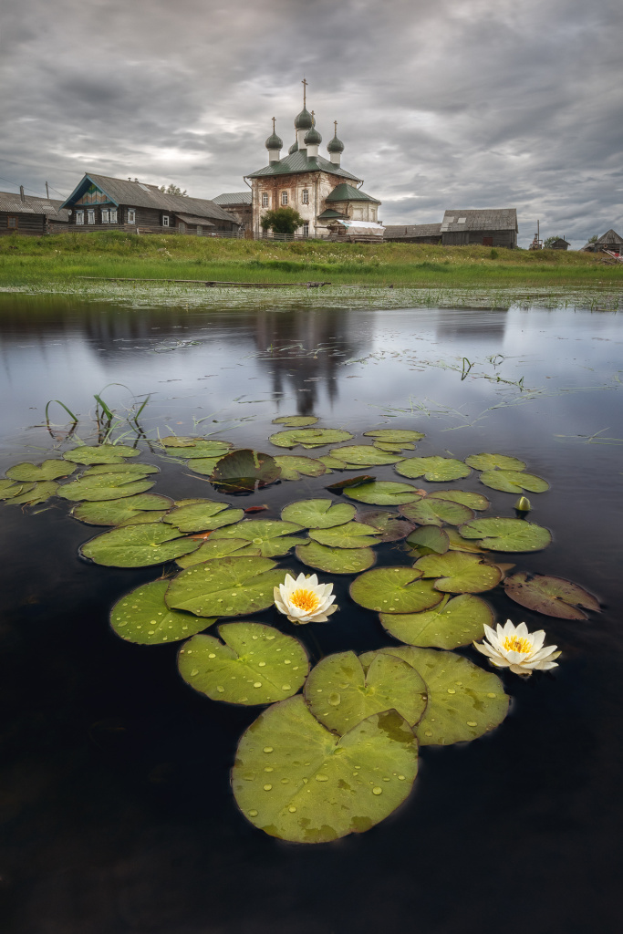 А здесь убрал блики и белесость с поверхности воды, проявив контраст и сочность цвета листьев водяной лилии плавающих на поверхности 