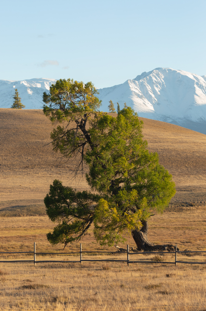 без фильтра