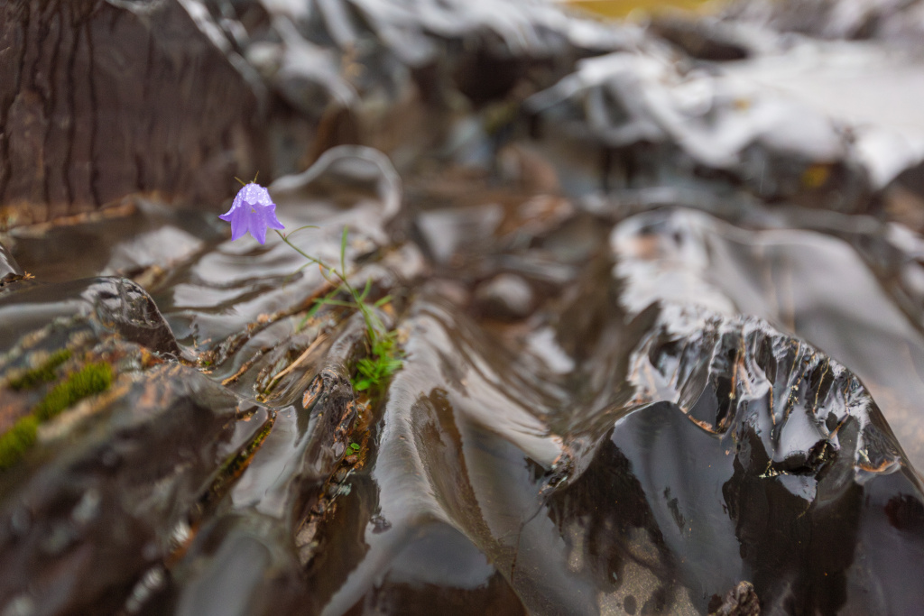 Блики на мокрых камнях. Пример.