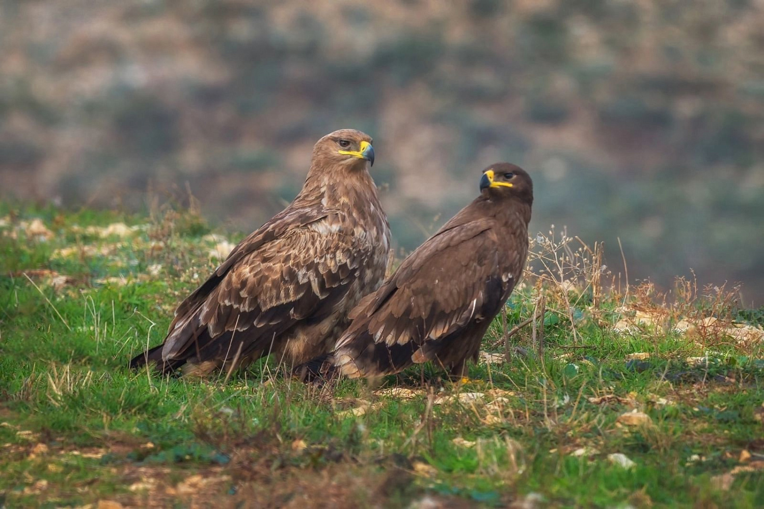 Nature Photo Camp в Дагестане﻿