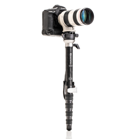 MSDPL46C_PT02_Camera