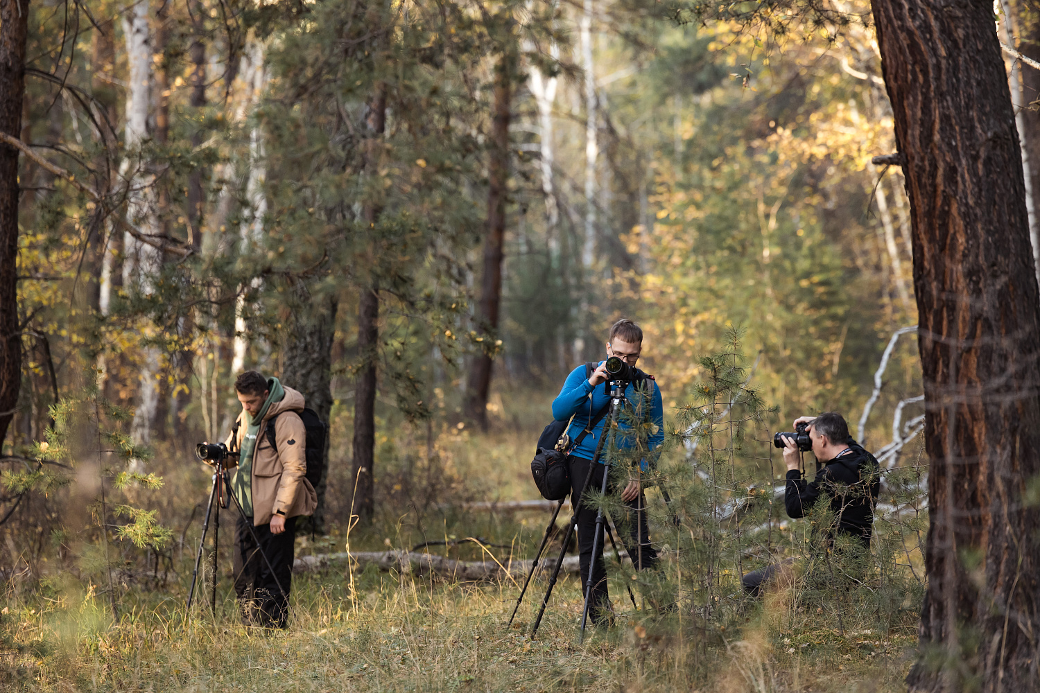 Nature Photo Camp в Курганской Области