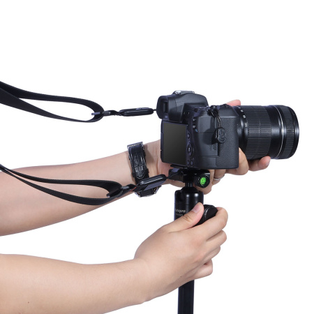 PSC2428-V1--11-